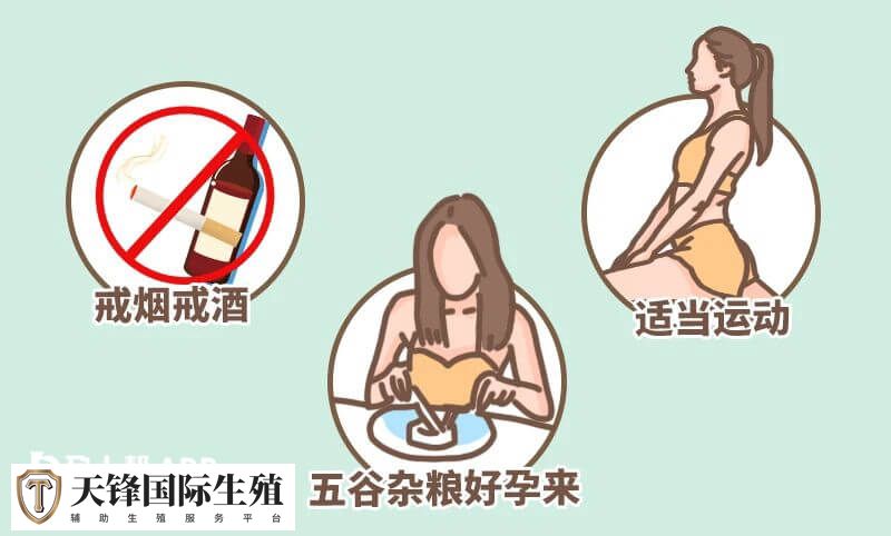 养出好质量的卵子的方法