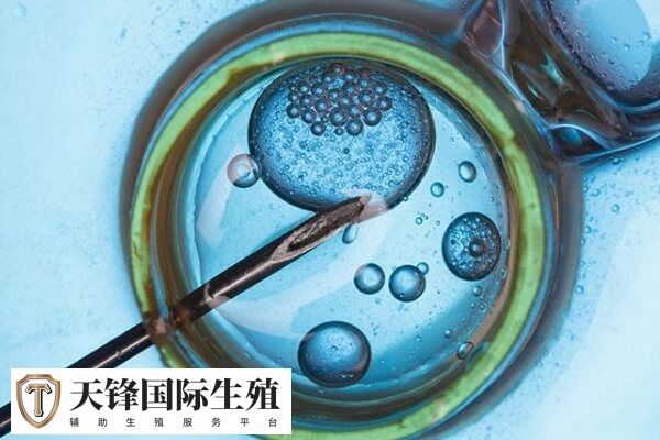 面瘫会不会影响精子质量