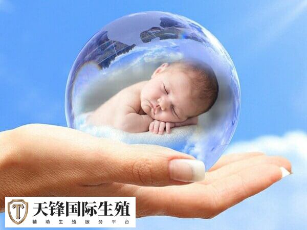 高龄失独家庭做试管婴儿是否有限制