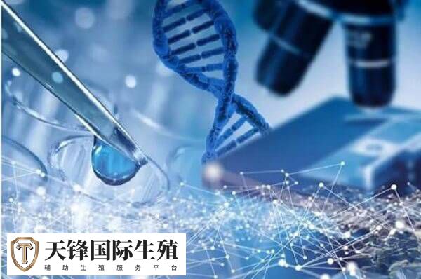 为什么三代试管婴儿的成功率高