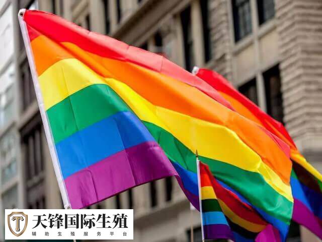 美国同性生子是合法的事情