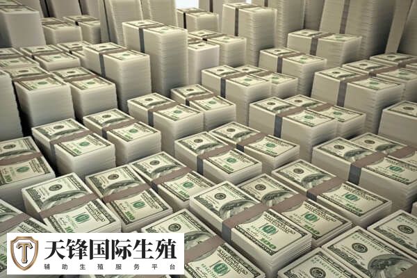 les赴美做试管生子费用在30-50万