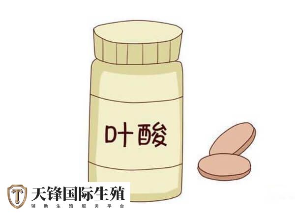 试管前注意补充叶酸可提高成功率