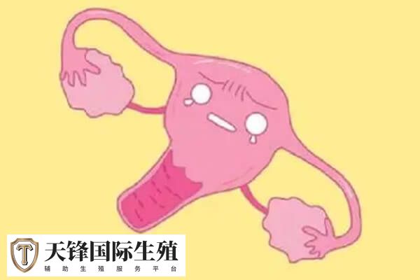 先天性单角子宫可以通过妇科超声检查诊断出来吗？