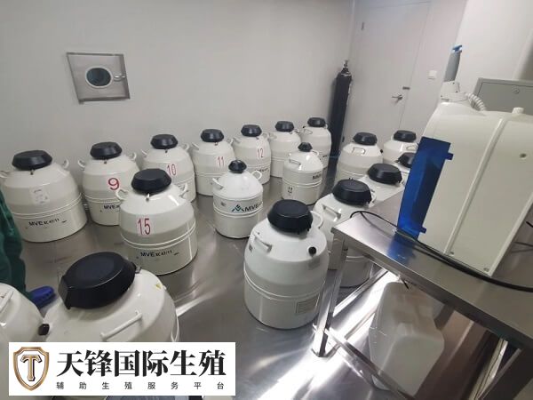 囊胚太多了不想全都冷冻保存能舍弃一些吗？