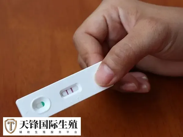 试管婴儿移植后8天能否测出怀孕